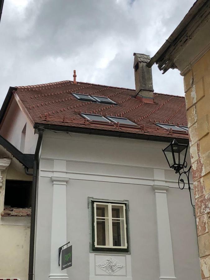 רדובליצ'ה Apartma Linhartov Trg מראה חיצוני תמונה